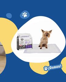 Catálogo Puppis Página 3