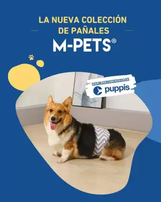 Catálogo Puppis (válido hasta 31-10)