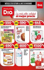 Folleto Supermercados DIA semana 44 Página 5