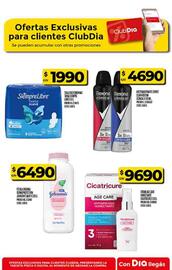 Folleto Supermercados DIA semana 44 Página 53