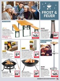 Maximarkt Flugblatt woche 44 Seite 21