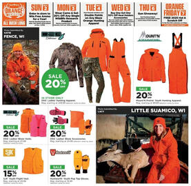 Mills Fleet Farm weekly ad Page 17