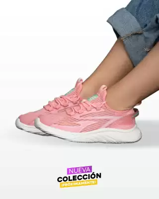 Catálogo Evacol (válido hasta 29-10)