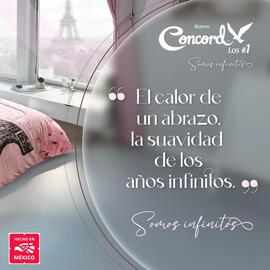 Catálogo Colchas Concord Página 4