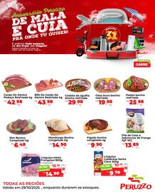 Encarte Peruzzo Página 4