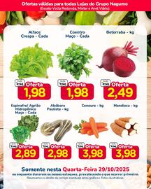 Folheto Nagumo Página 2