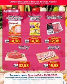 Folheto Nagumo Página 5