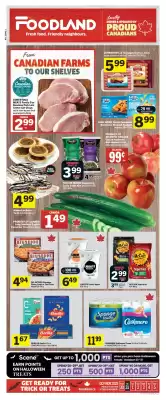 Foodland flyer (valid until 5-11)