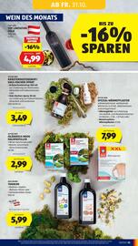 Hofer Flugblatt woche 44 Seite 17