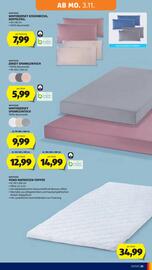 Hofer Flugblatt woche 44 Seite 29