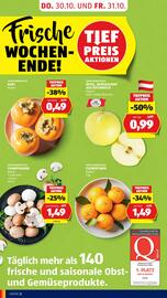 Hofer Flugblatt woche 44 Seite 4