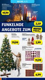 Hofer Flugblatt woche 44 Seite 40