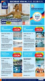 Hofer Flugblatt woche 44 Seite 42