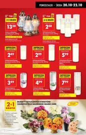 Biedronka gazetka Strona 15