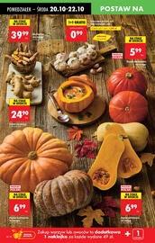 Biedronka gazetka Strona 18