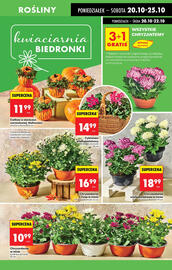 Biedronka gazetka Strona 75