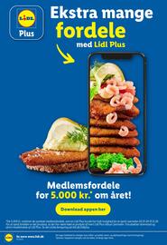 Lidl tilbudsavis uge 45 Side 29