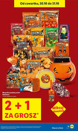 Lidl gazetka Strona 15