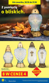 Lidl gazetka Strona 2