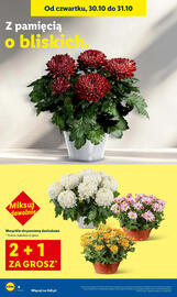 Lidl gazetka Strona 4