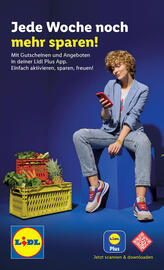 Lidl Flugblatt woche 43 Seite 3