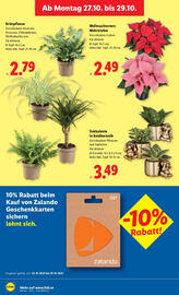 Lidl Flugblatt woche 43 Seite 30