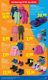 Lidl Flugblatt woche 43 Seite 35