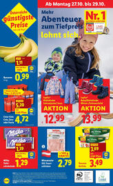 Lidl Flugblatt woche 43 Seite 46