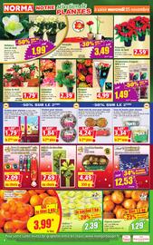 Catalogue Norma semaine 45 page 4
