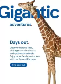 Tesco leaflet Page 28