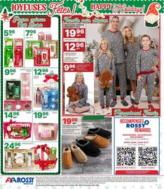 Rossy flyer Page 12