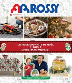 Rossy flyer Page 13