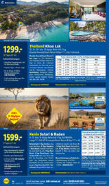 Lidl Flugblatt Seite 10