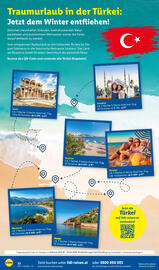 Lidl Flugblatt Seite 32