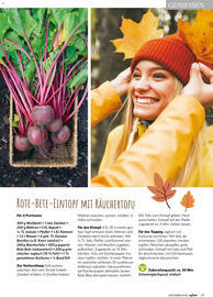 Combi Prospekt Seite 29