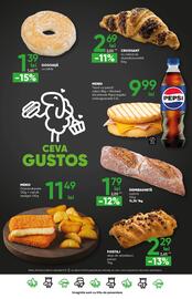 Catalog PROFI Pagină 21