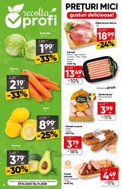 Catalog PROFI Pagină 6