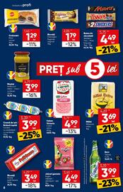Catalog PROFI Pagină 8