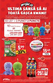 Catalog PROFI Pagină 5