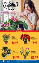 Catalog Lidl săptămâna 45 Pagină 34