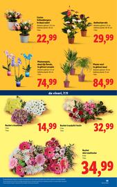 Catalog Lidl săptămâna 45 Pagină 35