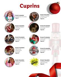 Catalog Lidl Pagină 3