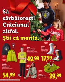 Catalog Lidl Pagină 46