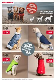 Woolworth Prospekt Seite 16