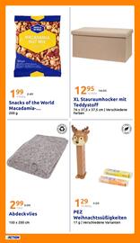 Action Flugblatt woche 44 Seite 25