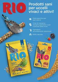 Volantino ZooPlanet Pagina 12