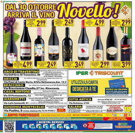 Volantino Iper Triscount Pagina 20