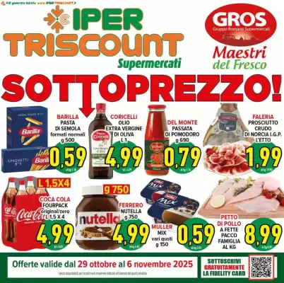 Volantino Iper Triscount (valido fino al 6-11)