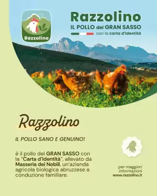 Volantino Centro Carne (valido fino al 4-11)