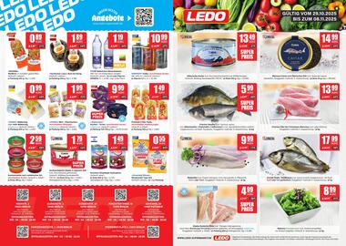 LEDO Prospekt Seite 1